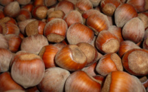 Nuciola di Cervioni : renaissance gourmande au cœur de la Corse