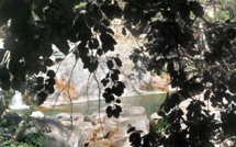 La photo du jour : les piscines naturelles de Petra Piana