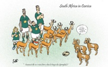 Springboks : les champions du monde de rugby en Corse avant le prochain Mondial