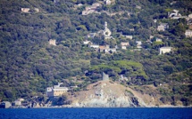 La photo du jour : Pinu face à la mer