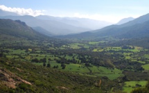Parc naturel régional de Corse : le concours de la Réserve de la biosphère est ouvert jusqu’au 31 octobre !