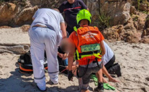 Serra-di-Ferro : Une femme victime d'un début de noyade sur la plage de Cupabia