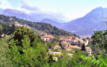 La commune de Vico condamnée pour la pollution d'un ruisseau