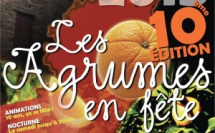 Fête des agrumes de Bastelicaccia : Une dixième édition attendue