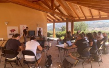 Economie : Cinq start-up corses en résidence d'accélération à Ajaccio