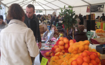 Bastelicaccia : Les agrumes en fête depuis 10 ans