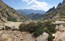 La météo du jour en Corse