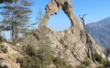 Courses en montagne : Le "Périple de l’Arche" c'est dimanche à Corte