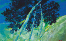 Bastia : Les peintures de Jean-Marie Zacchi illuminent les locaux de Vision Futura