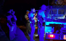 Chasse : une vaste opération de contrôles menée en Haute-Corse