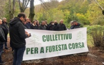 Assises de la forêt à Vizzavona : Le "culletivu per a furesta corsa" critique le manque d'ambition de la CdC