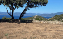 La photo du jour : bella passighjata fina Senetosa