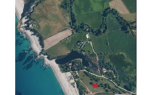 Une colonie de guêpiers d’Europe sauvée par les associations à Porticcio