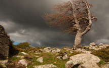 Météo : après la pluie, le vent. Vigilance orange en Haute-Corse
