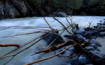 Corte : « Les autorités ont pris la mesure de la catastrophe »