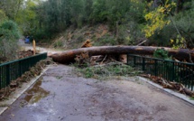 EN IMAGES - Après le passage de Domingos en Corse