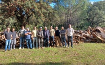 La filière du liège corse s'organise autour d'un syndicat "pour mieux défendre ses intérêts"