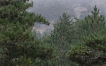 La photo du jour : U Cumpuleddu version automnale