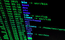 ​Numérique : « Cybercapa », le nouvel outil du Pays Ajaccien face à la cybercriminalité