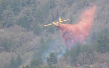 Une vingtaine d'hectares détruits par les flammes à Ciamanacce