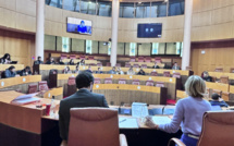 Assemblea di a Giuventù et question agricole : "quelles perspectives pour la jeunesse corse ?"