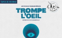 Sortie de résidence à l'Aria : Trompe l'œil par ANT