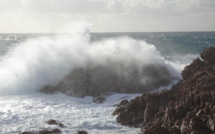 En Haute-Corse, les vents violents privent 3 500 personnes d'électricité