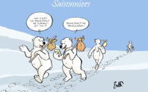 Le dessin de Battì : les ours polaires de retour sur les ronds-points de Corse