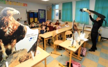 Corte : Les élèves de Sandreschi ont participé à a Festa di a Nazione