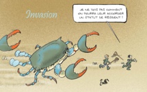Le dessin de Battì : quel statut pour le crabe bleu ?