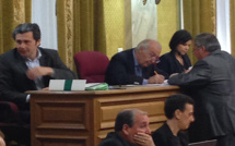 Conseil départemental de la Corse-du-Sud : L'institution est en marche