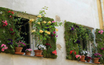 Aurélien Duboc grand gagnant du concours des fenêtres et balcons fleuris d'Ajaccio