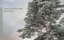 "L’île aux arbres" : Un ouvrage qui célèbre les monuments végétaux de Corse