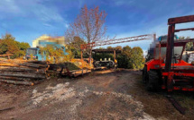 San Nicolao : ils coupaient et vendaient du bois de chauffage sans être déclarés