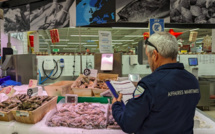 En Corse, les produits de la mer sous haute surveillance avant les fêtes