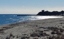 La photo du jour : mare d'argentu à Diana 