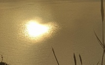 La photo du jour : À Barrettali, la mer a du cœur