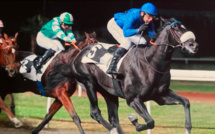 Hippisme : Retour gagnant pour Alexandre Lastrajoli