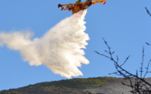 Barbaggio : le feu est toujours actif,  230 hectares ont brûlé