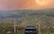 Incendie de Barbaggio : un épisode de pollution atmosphérique observé en Haute-Corse