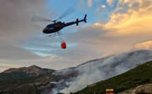 L'incendie de Barbaggio "complètement maîtrisé" après avoir parcouru 230 hectares de maquis