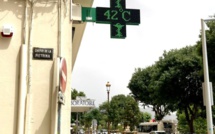 En France, 2023 s'est classée au deuxième rang des années les plus chaudes jamais mesurées