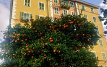 La photo du jour : Bastia ind'una sporta di frutta