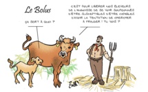 Le dessin de Battì : "Le bolus, c'est quoi ?"