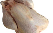Alimentation : rappel massif de de dindes "prête à cuire"