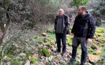 Mansu : un pare-feu pour la commune et du bois de chauffage pour les habitants 