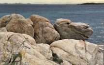 La photo du jour : Le chameau des Bouches-de-Bonifacio