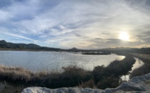 La photo du jour : près des marais salants de Porto Vecchio