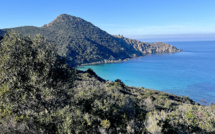 La photo du jour : pointe de l'Acciola 