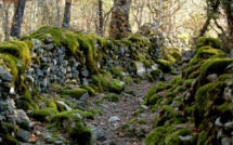 La météo du jour en Corse